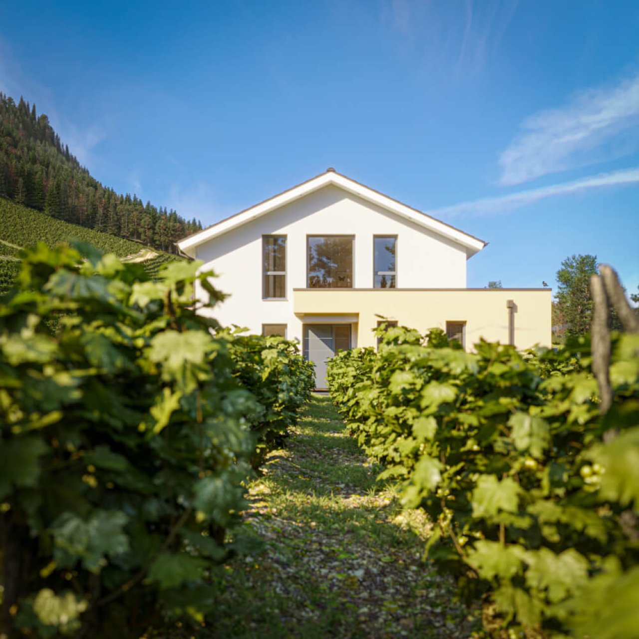 Außenansicht Außenansicht